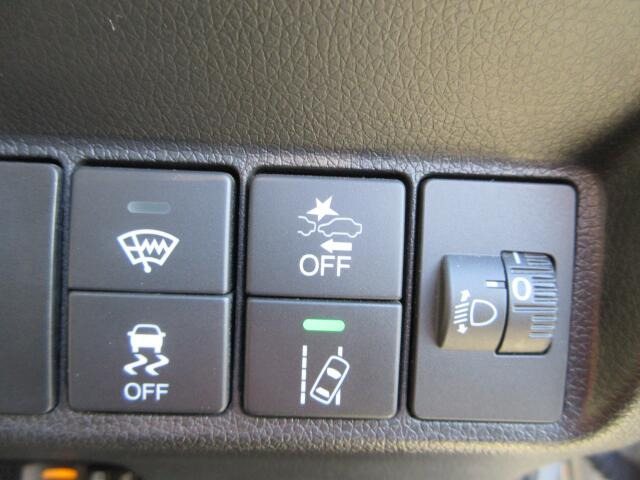 �b��̃z���_�Z���V���O���ځB���S�^�]�̋��������ł���(�z���_)