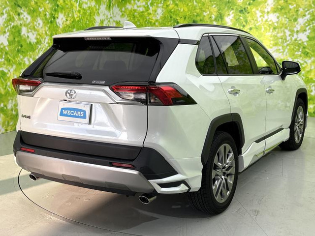 RAV42.0 G Zパッケージ 4WD