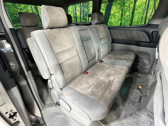 �㕔���Ȃ��C�ɂȂ�悤�ȃL�Y�E�����ւ��蓙�A�傫�ȃ_���[�W�͂Ȃ��A�ǍD�ȏ�Ԃł��B