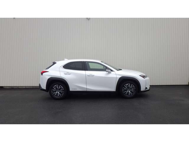 UX250h バージョンC