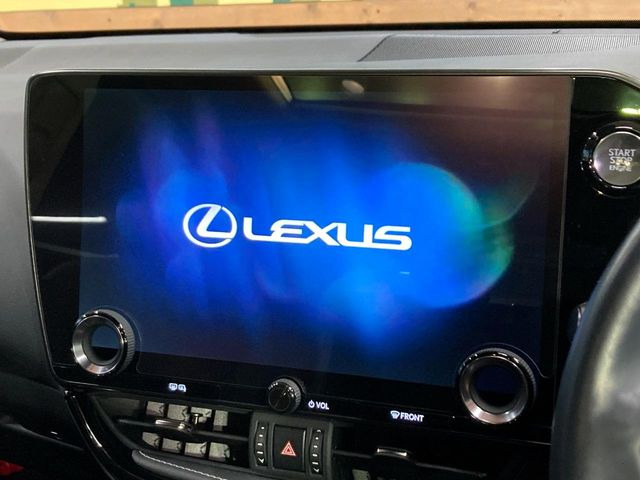 NX250 バージョンL