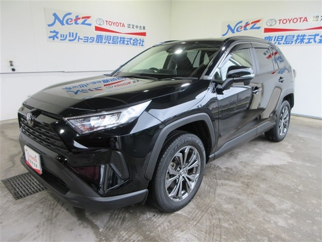 RAV42.0 X