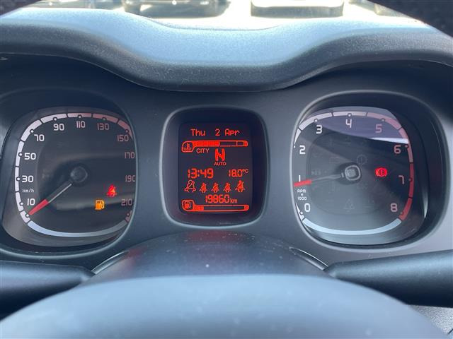 パンダイージー