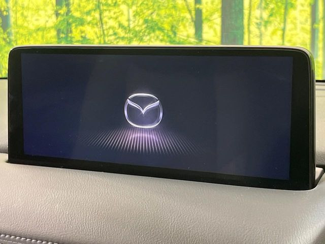 �yBOSE�T�E���h�V�X�e���t������10�^�i�r�z�[���̃i�r�@�\�͂������A���x�ȃ`���[�j���O�\�͂����ڂ���Ă���A�������ȉ��y�����y���݂��������܂���