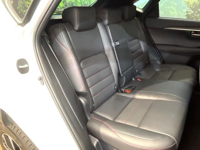 �㕔���Ȃ��C�ɂȂ�悤�ȃL�Y�E�����ւ��蓙�A�傫�ȃ_���[�W�͂Ȃ��A�ǍD�ȏ�Ԃł��B