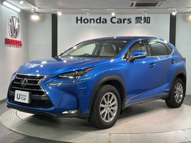 NX300h Iパッケージ