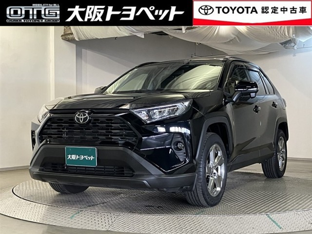 RAV42.0 X