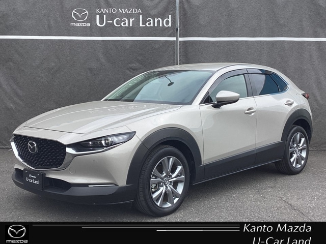 CX-301.8 XD プロアクティブ