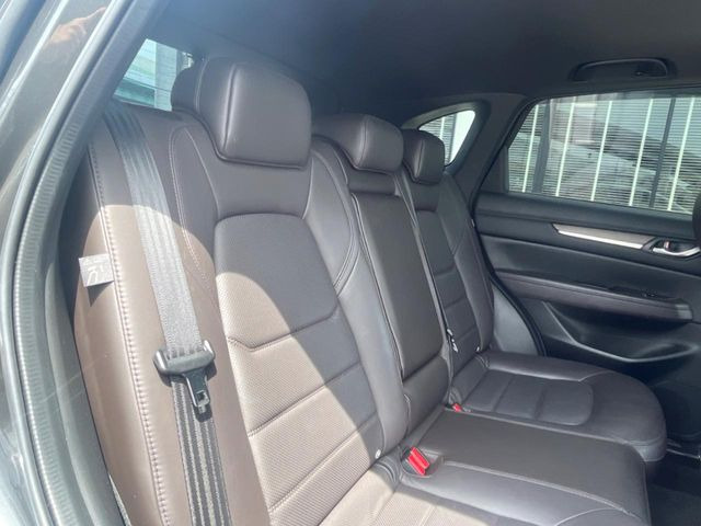 �㕔���Ȃ��C�ɂȂ�悤�ȃL�Y�E�����ւ��蓙�A�傫�ȃ_���[�W�͂Ȃ��A�ǍD�ȏ�Ԃł��B