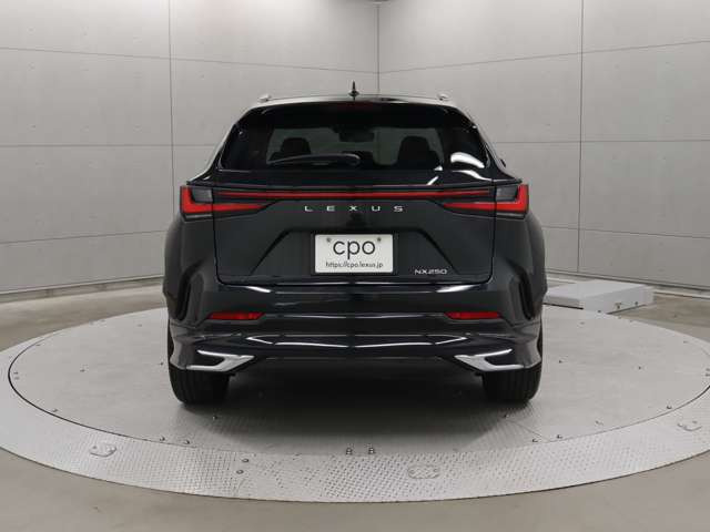 NX250 バージョンL