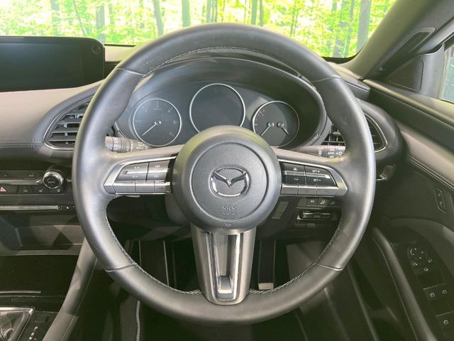 �y�X�e�A�����O�X�C�b�`�z�^�]���A�O������ڐ������炷���ƂȂ��A�I�[�f�B�I���̑��삪�\�ȕ֗��@�\!���S&���K�ȃh���C�u�����o���Ă���܂���