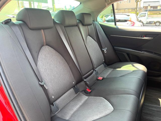 �㕔���Ȃ��C�ɂȂ�悤�ȃL�Y�E�����ւ��蓙�A�傫�ȃ_���[�W�͂Ȃ��A�ǍD�ȏ�Ԃł��B