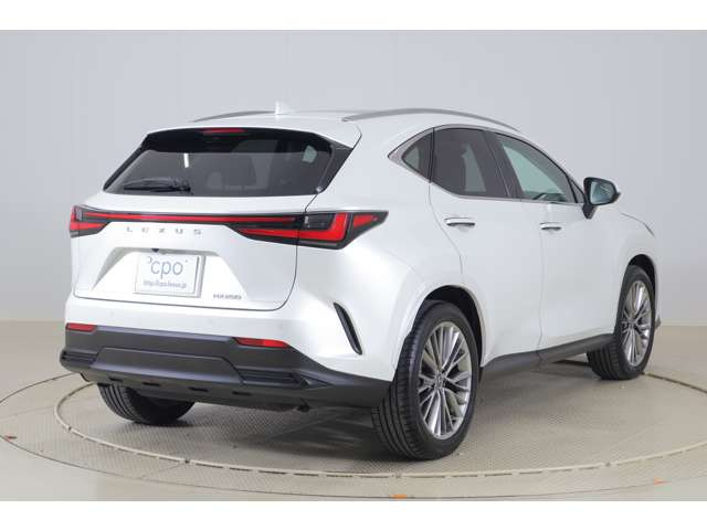 NX250 バージョンL