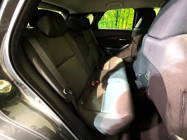 �㕔���Ȃ��C�ɂȂ�悤�ȃL�Y�E�����ւ��蓙�A�傫�ȃ_���[�W�͂Ȃ��A�ǍD�ȏ�Ԃł��B