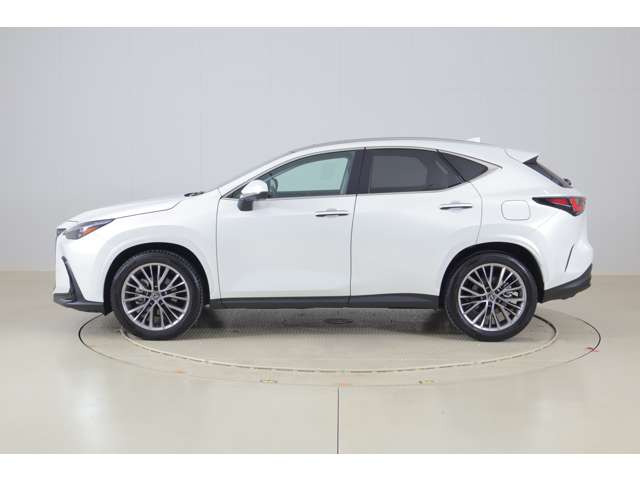 NX250 バージョンL