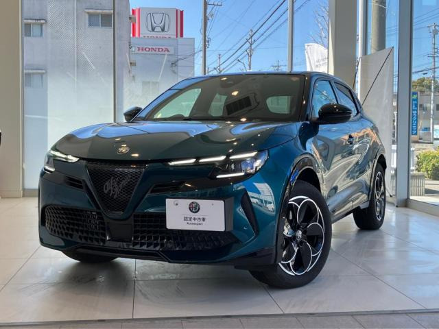 ジュニアイブリダ プレミアム