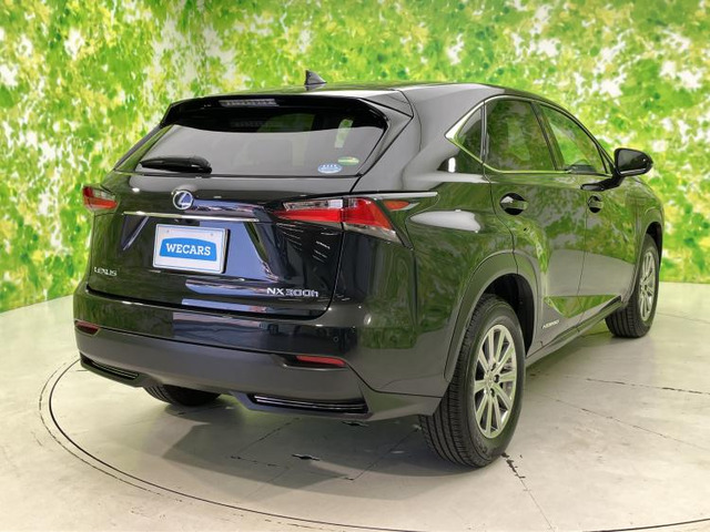 NX300h Iパッケージ