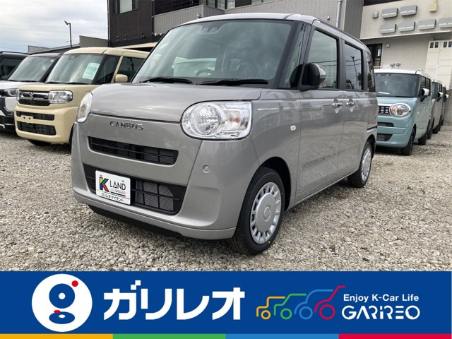 ムーヴキャンバスセオリー X