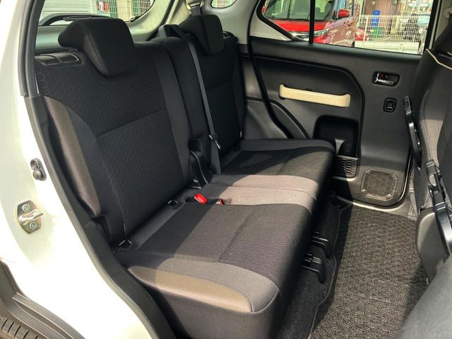 �㕔���Ȃ��C�ɂȂ�悤�ȃL�Y�E�����ւ��蓙�A�傫�ȃ_���[�W�͂Ȃ��A�ǍD�ȏ�Ԃł��B