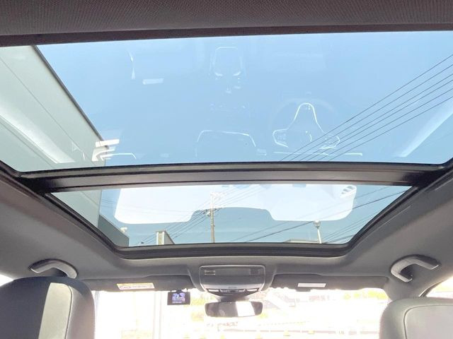 ���p�m���}�~�b�N�K���X���[�t:�唗�͂̃p�m���}���[�t�́A�㕔���Ȃɂ܂ő����Ă���A�J���I�ȋ�Ԃ����y���݂��������܂��B