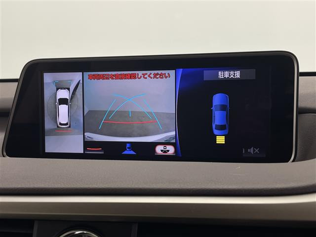 RX300 バージョンL