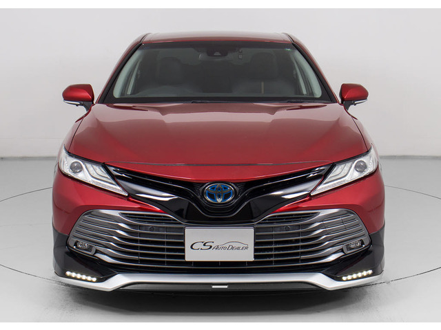 �։��Ԃł�!�����͌��ȃj�I�C�������A�������Y��ȏ�Ԃł�!�։��ԁE�E���ɃZ�_���^�C�v�̂��Ԃł͏��Ȃ��ł����!!�^�o�R�̃j�I�C�����Ȃ��q�l�K���ł�!���K�ɂ���Ԓ����܂�!!