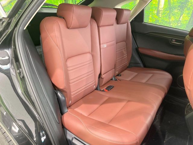 �㕔���Ȃ��C�ɂȂ�悤�ȃL�Y�E�����ւ��蓙�A�傫�ȃ_���[�W�͂Ȃ��A�ǍD�ȏ�Ԃł��B