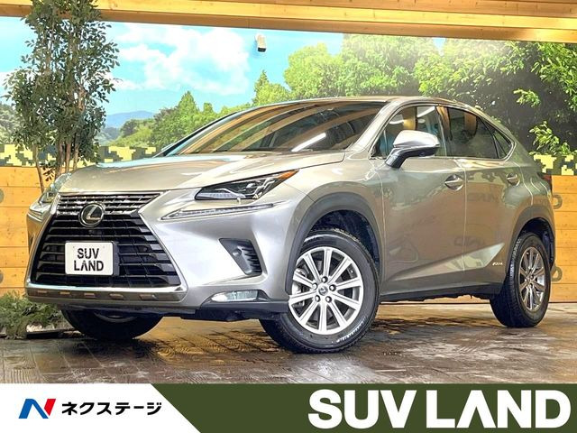 NX300h Iパッケージ