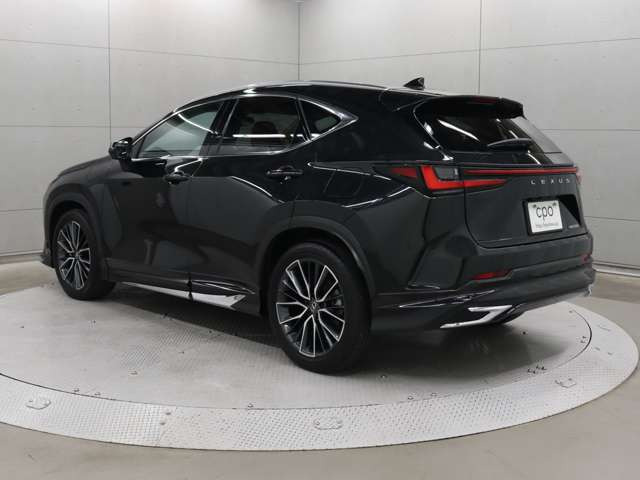 NX250 バージョンL