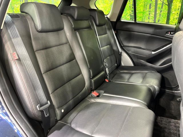 �㕔���Ȃ��C�ɂȂ�悤�ȃL�Y�E�����ւ��蓙�A�傫�ȃ_���[�W�͂Ȃ��A�ǍD�ȏ�Ԃł��B