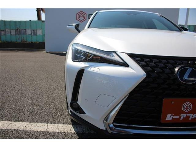 ���Ǝҗl�ւ̔̔��͂��f�肳���Ă��������܂��B �Ԍ������ԗ��̏ꍇ�́A�Ԍ����擾�������x�������z�ŕ\�����Ă���܂��B