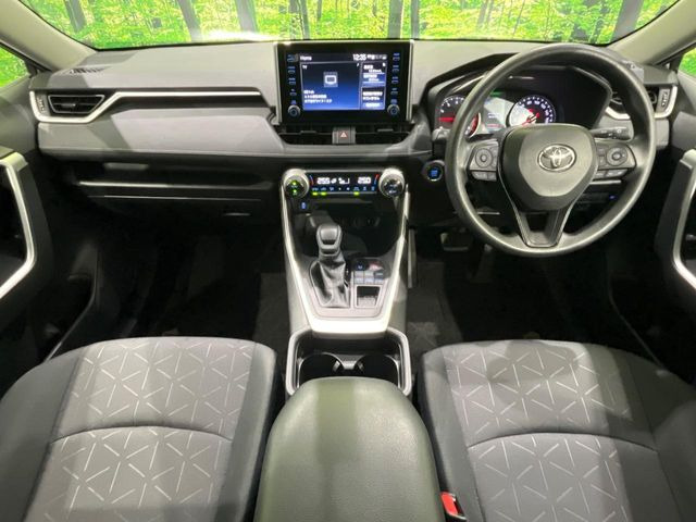 RAV42.0 X