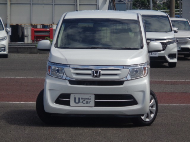 N-WGNG Lパッケージ