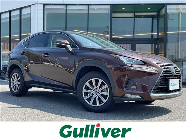 NX300 Iパッケージ