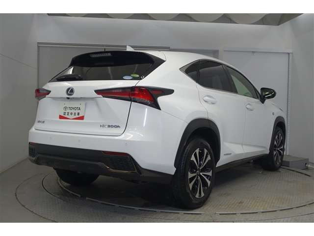 NX300h Fスポーツ