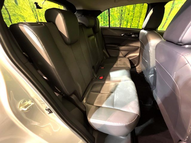 �㕔���Ȃ��C�ɂȂ�悤�ȃL�Y�E�����ւ��蓙�A�傫�ȃ_���[�W�͂Ȃ��A�ǍD�ȏ�Ԃł��B