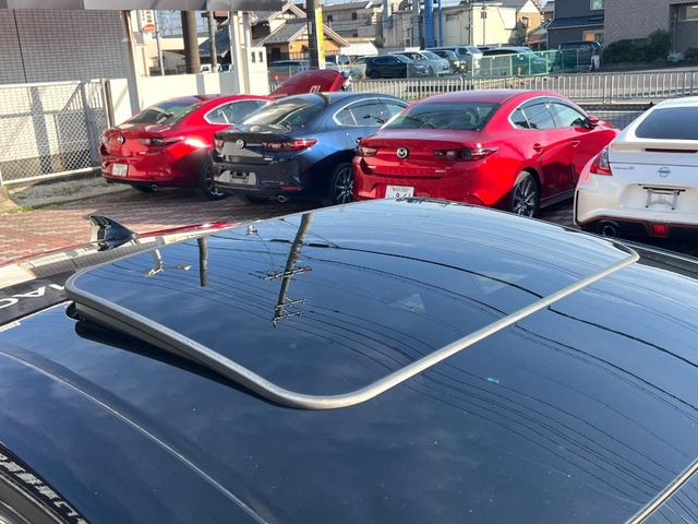 �y���[�����[�t�z�J���������Ղ�̊󏭑����A���[�����[�t����������Ă��܂�!�ԓ��ɖ�����������ꂽ��i�F���y���ވȊO�ɂ��A�ԓ��̋�C���ȒP�Ɋ��C�ł��ĉ��K�ł�!