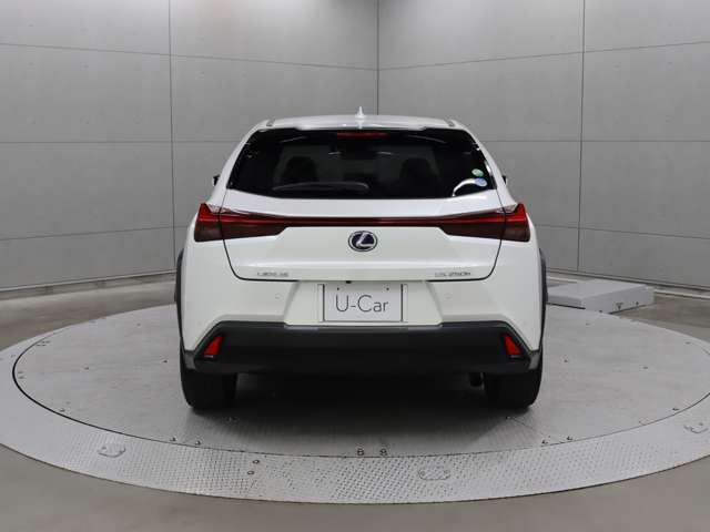 UX250h バージョンL