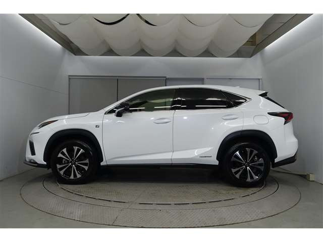 NX300h Fスポーツ