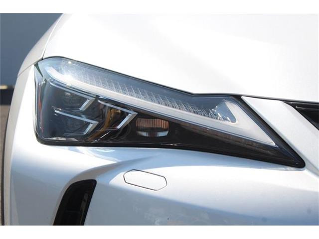 ���Ǝҗl�ւ̔̔��͂��f�肳���Ă��������܂��B �Ԍ������ԗ��̏ꍇ�́A�Ԍ����擾�������x�������z�ŕ\�����Ă���܂��B