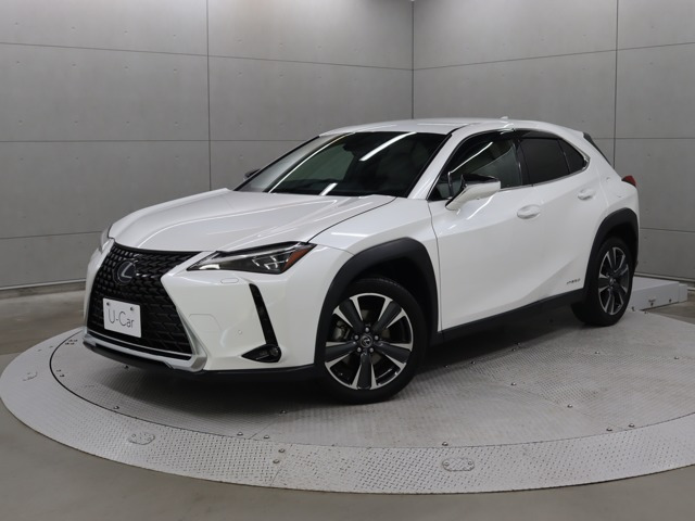 UX250h バージョンL
