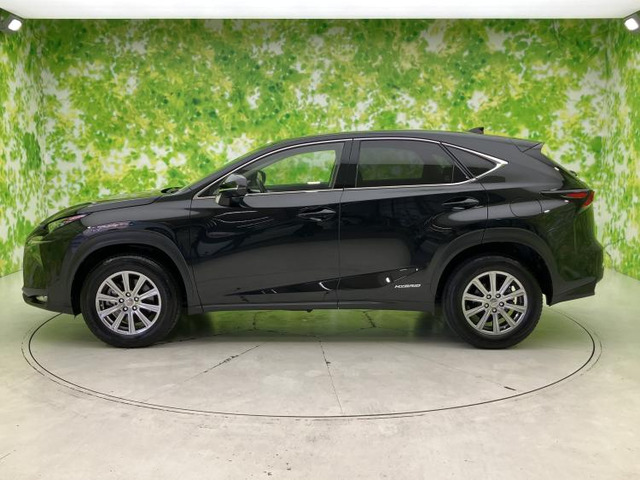 NX300h Iパッケージ