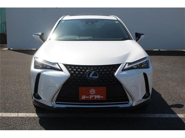 ���Ǝҗl�ւ̔̔��͂��f�肳���Ă��������܂��B �Ԍ������ԗ��̏ꍇ�́A�Ԍ����擾�������x�������z�ŕ\�����Ă���܂��B