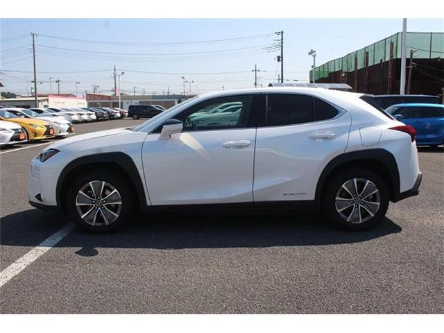 ���Ǝҗl�ւ̔̔��͂��f�肳���Ă��������܂��B �Ԍ������ԗ��̏ꍇ�́A�Ԍ����擾�������x�������z�ŕ\�����Ă���܂��B