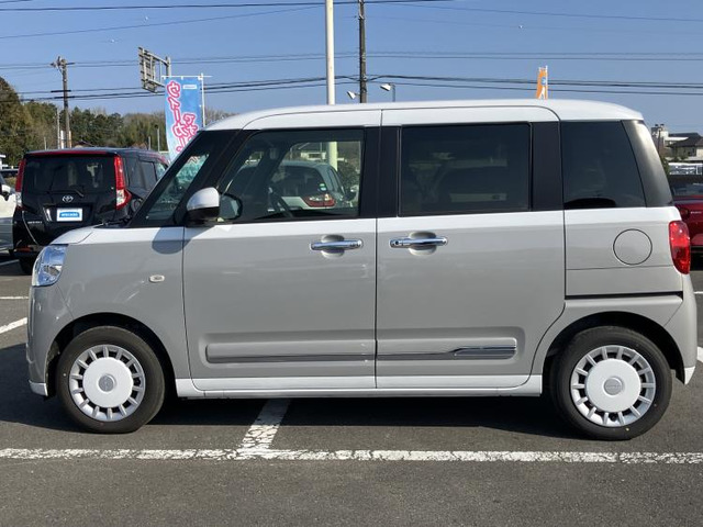 ムーヴキャンバスストライプス G