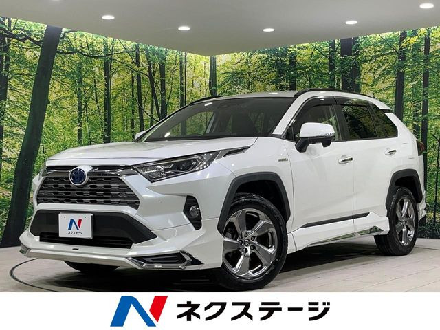 RAV42.5 ハイブリッド G E-Four 4WD