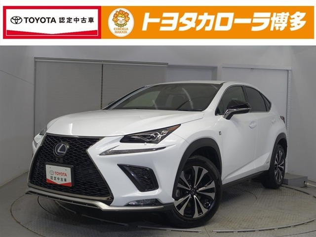 NX300h Fスポーツ