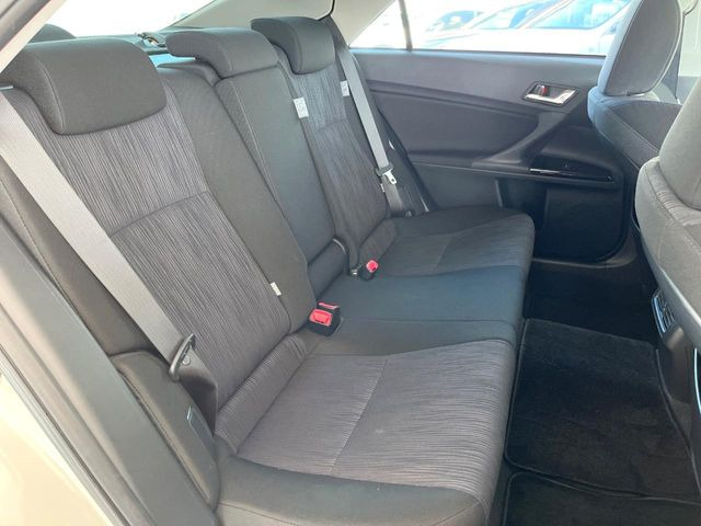 �㕔���Ȃ��C�ɂȂ�悤�ȃL�Y�E�����ւ��蓙�A�傫�ȃ_���[�W�͂Ȃ��A�ǍD�ȏ�Ԃł��B