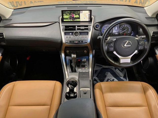 NX300h Iパッケージ