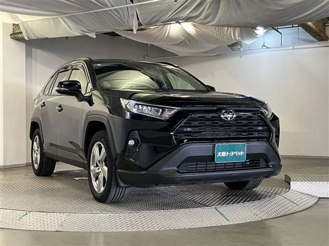 RAV42.0 X